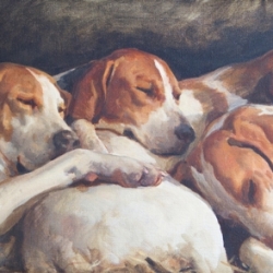Four Hounds Asleep by Charles Church